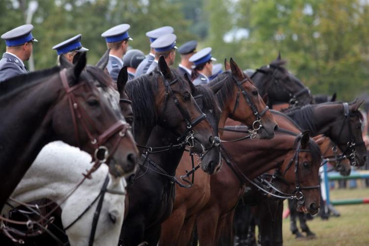 Międzynarodowy Turniej Policji Konnej w Częstochowie, 8 bm.Fot. PAP/W. Deska