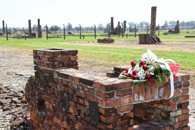 Uroczystości Międzynarodowego Dnia Pamięci o Zagładzie Romów w byłym niemieckim obozie zagłady Auschwitz II-Birkenau. 02.08.2018. Fot. PAP/J. Bednarczyk