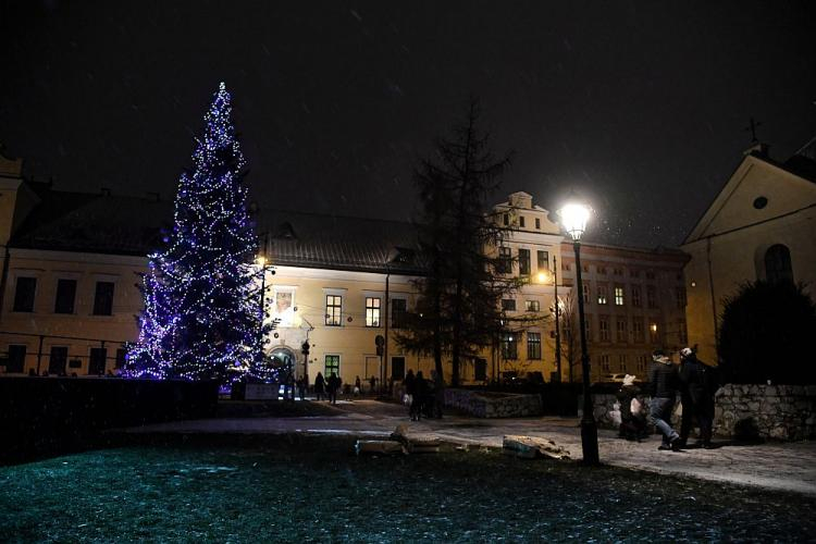 Choinka pod oknem papieskim na skwerze przy ulicy Franciszkańskiej w Krakowie. Fot. PAP/J. Bednarczyk