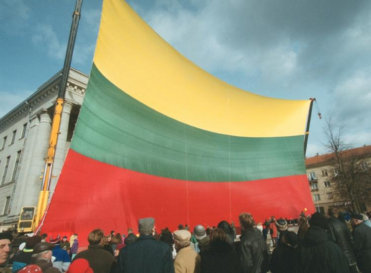 Flaga litewska. Fot. PAP/EPA/P. Malukas