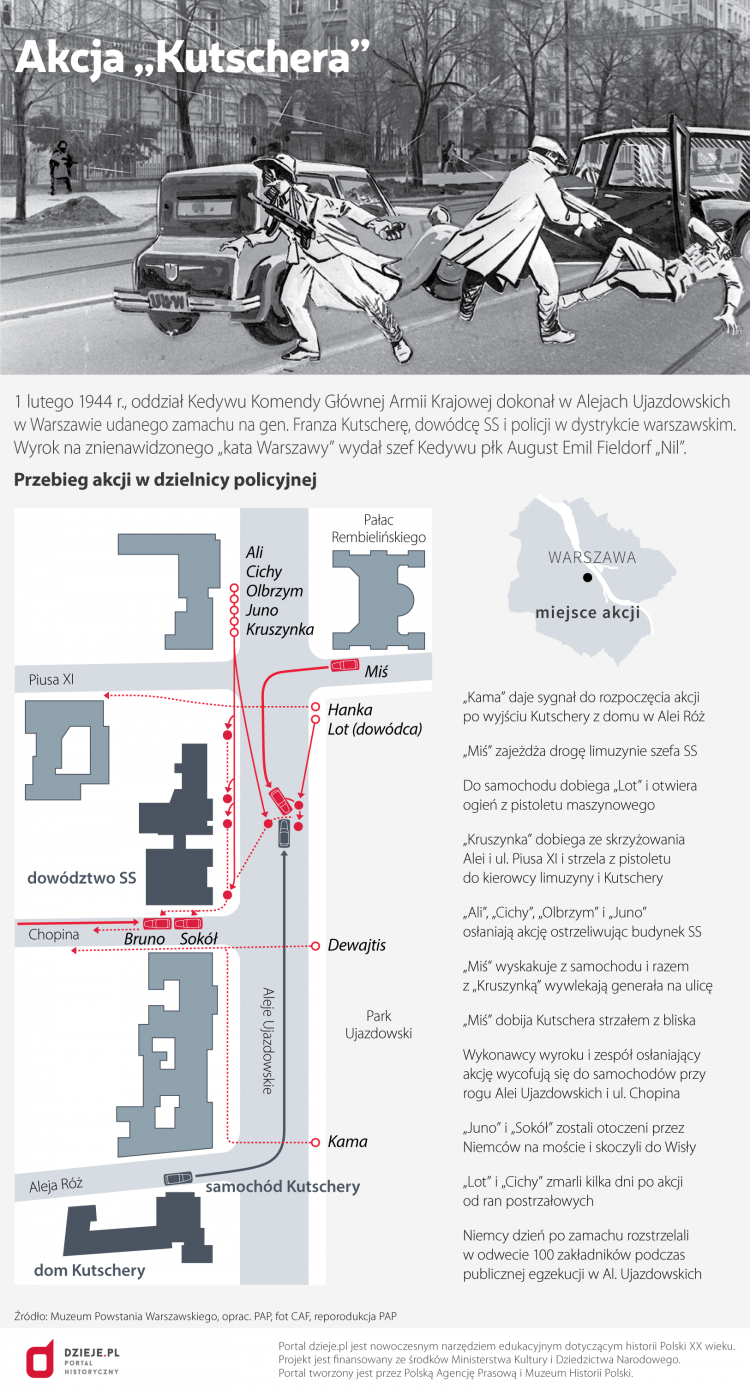 Infografika PAP