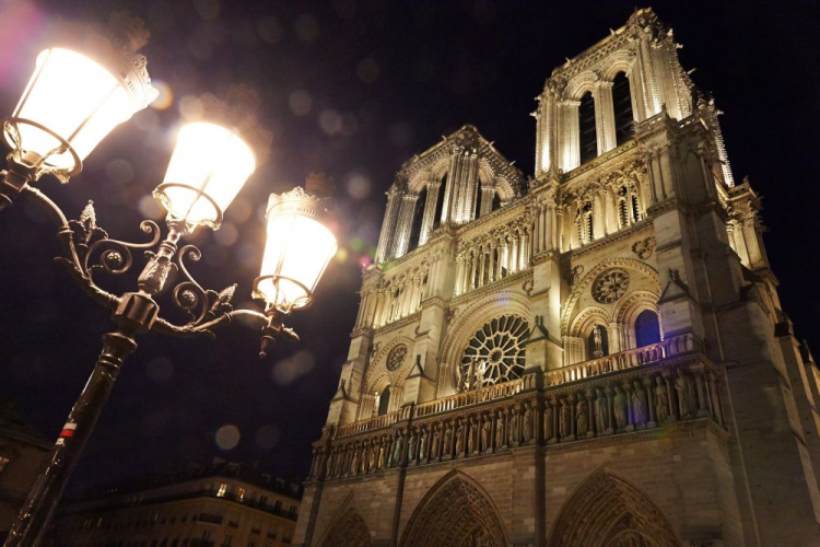 Katedra Notre-Dame. Fot. PAP/A. Warżawa