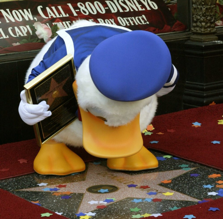 HHollywood, USA, 10.08.04. Kaczor Donald przypatruje się swojej gwieździe w Alei Gwiazd w Hollywood.  PAP/EPA 