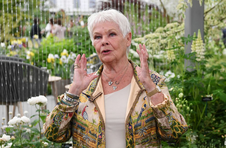 Judi Dench. Fot. PAP/EPA