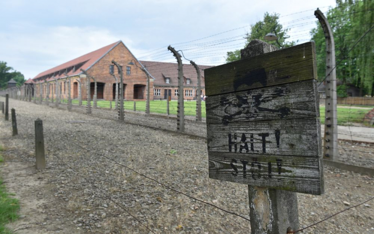Auschwitz - ogrodzenia obozowe.Fot. PAP/Jacek Bednarczyk 