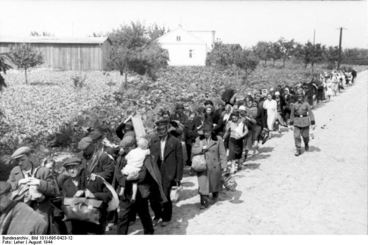 Niemcy prowadzą wypędzonych warszawiaków do obozu przejściowego Dulag 121 w Pruszkowie. Sierpień 1944 r. Fot. Bundesarchiv. Źródło: Wikimedia Commons