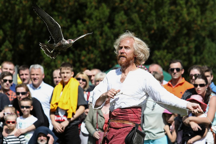 Pokazy sokolników i drapieżnych ptaków w ramach XI Zajazdu Wysokomazowieckiego w Muzeum Rolnictwa im. ks. Krzysztofa Kluka w Ciechanowcu. Fot. PAP/A. Reszko