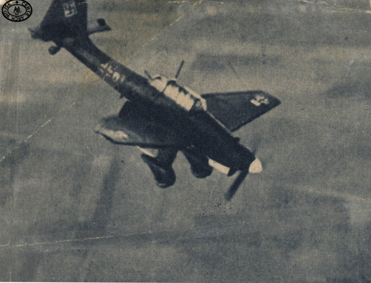 Samolot Junkers Ju-87 B w locie nurkowym przed zrzuceniem bomb. 1939 r. Fot. CAW