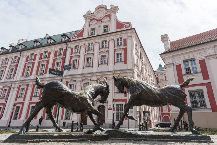 Pomnik poznańskich koziołków na pl. Kolegiackim. Fot. PAP/A. Ciereszko