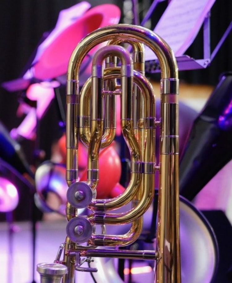 Źródło: www.brassacademy.eu