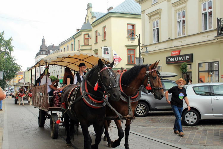 Źródło: www.muzeum.tarnow.pl