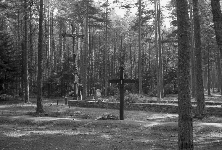 Jeden z wielu zbiorowych grobów, w których spoczywają ofiary tzw. Zbrodni w Piaśnicy. 1958 r. Fot. PAP/E. Hannemann 