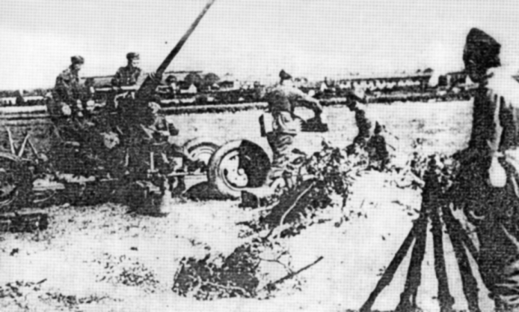 Artyleria plot. na przedpolach Lwowa 1039 r. Źródło: Wikimedia Commons
