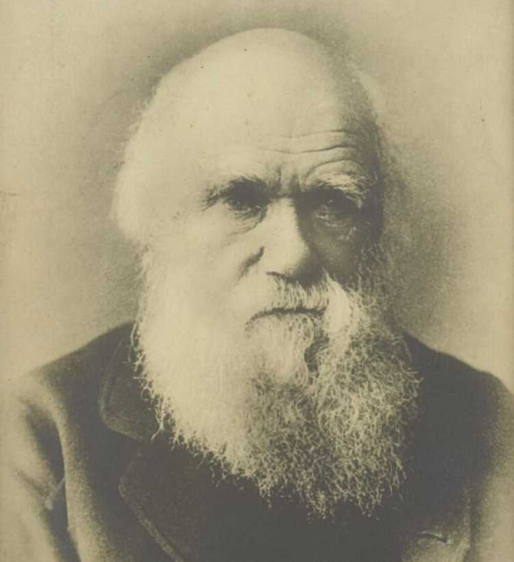 Charles Darwin. Źródło: CBN Polona