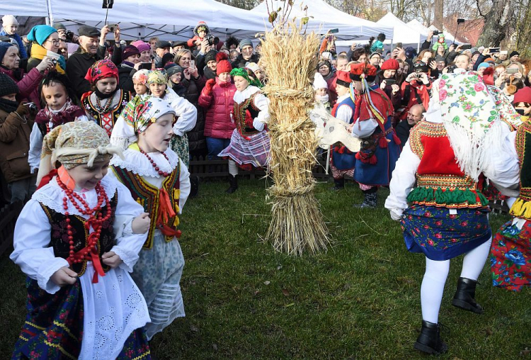 Tradycyjne osadzenie chochoła w Rydlówce. Kraków, 23.11.2019. Fot. PAP/J. Bednarczyk