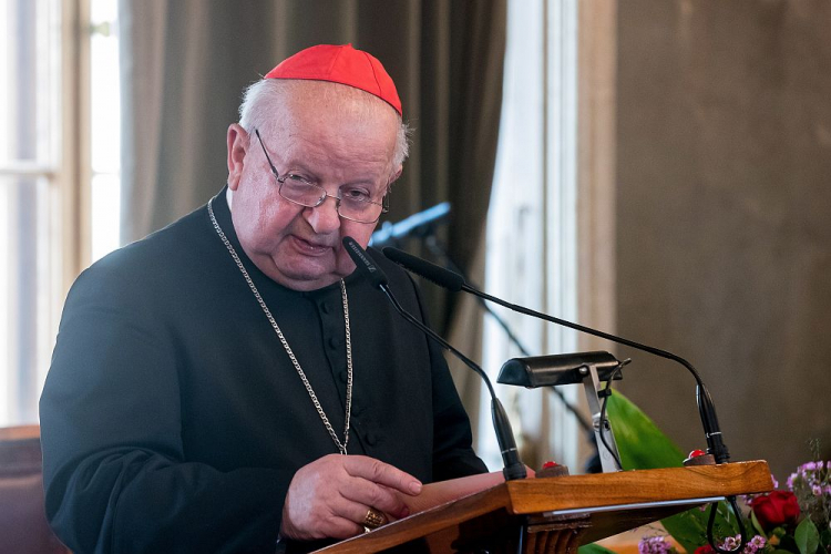 Kardynał Stanisław Dziwisz. Fot. PAP/Ł. Gągulski