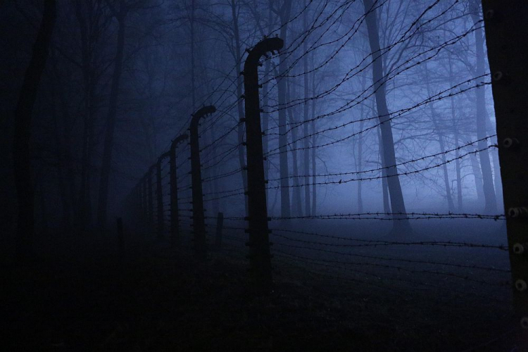 Teren byłego niemieckiego obozu Auschwitz II-Birkenau. Fot. PAP/S. Rozpędzik