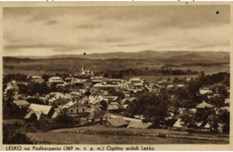 Lesko - widok ogólny