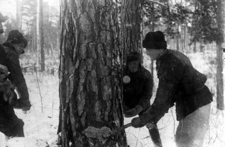 Deportowani w 1940 r. Białojarsk, rejon barnaulski, Ałtajski Kraj. Źródło: IPN