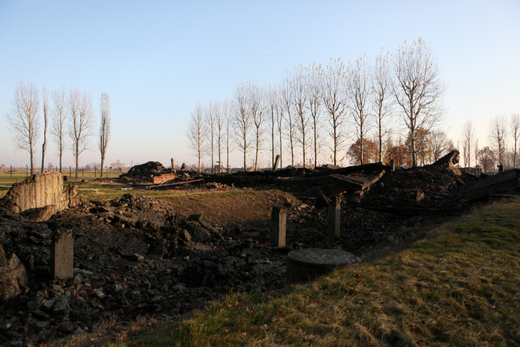 Oświęcim Brzezinka, 06.11.2011. Teren byłego nazistowskiego obozu Auschwitz-Birkenau - krematorium III. PAP/S. Rozpędzik