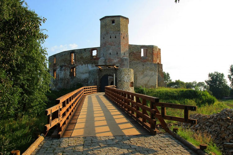 Ruiny zamku w Siewierzu. Fot. PAP/S. Leszczyński