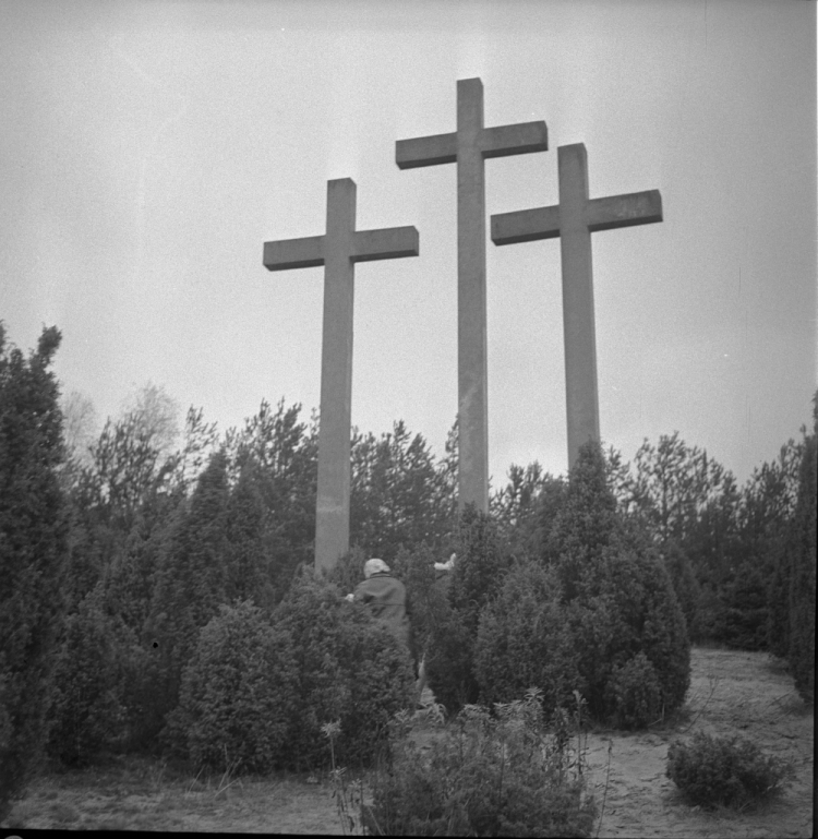 Palmiry, 1969 10 29. Cmentarz w Palmirach, na którym Niemcy w okresie 1939–1941 mordowali więźniów warszawskich więzień, m.in. Pawiaka. Najwięcej ofiar spoczęło w masowych grobach w ramach tzw. Akcji Außerordentliche Befriedungsaktion (AB). Fot. PAP/B. Miedza