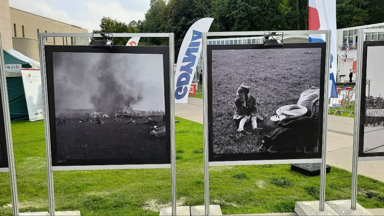 Wystawa „Pacyfikacja Wąwolnicy z 1946 roku” na XII Festiwalu „Niepokorni Niezłomni Wyklęci” w Gdyni. Fot. oddział IPN w Gdańsku