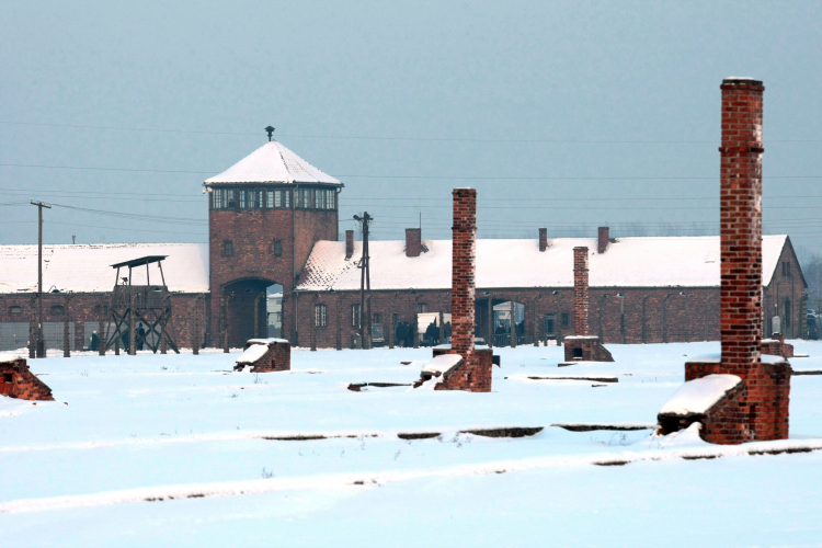 Oświęcim-Brzezinka, 27.01.2010. Teren byłego obozu Birkenau.  PAP/L. Szymański