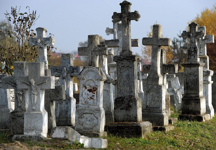 „Lapidarium kamieniarki bruśnieńskiej” na cmentarzu w Lubaczowie. Fot. PAP/D. Delmanowicz