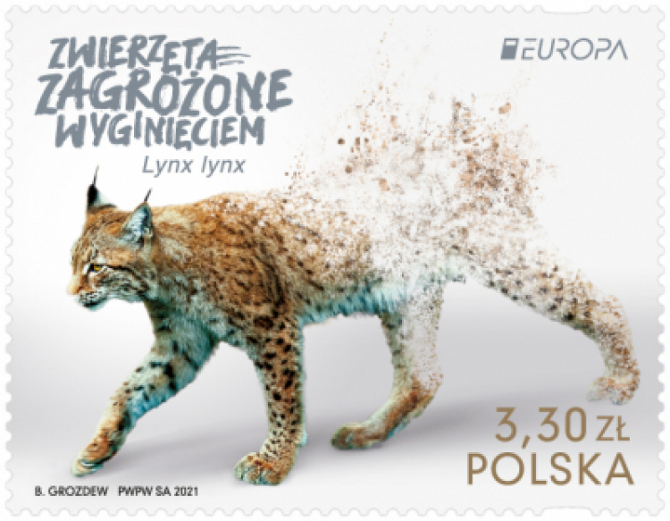 Ryś euroazjatycki na znaczku. Źródło: Poczta Polska