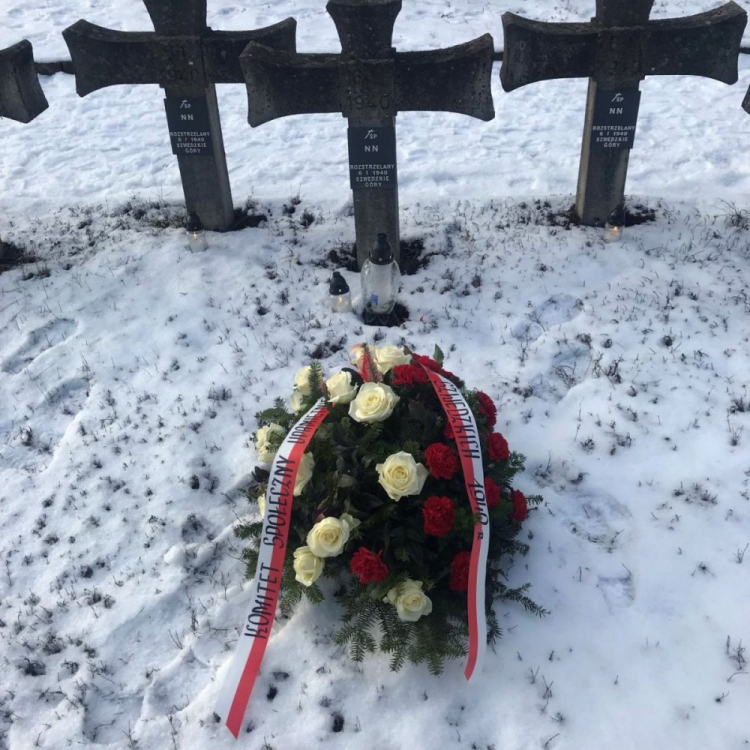 Groby ofiar niemieckiego mordu na Polakach w tzw. Górach Szwedzkich. Palmiry, 2019 r. Źródło: IPN