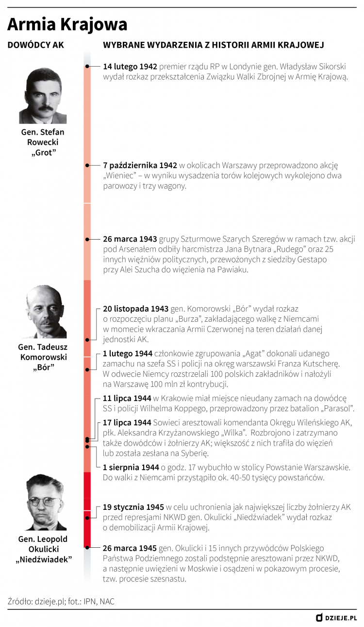 Infografika