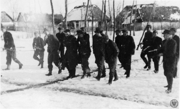 Partyzanci z oddziału AK „Nerwy” prowadzą sześciu jeńców, prawdopodobnie Niemców. 1943–1944. Fot. z zasobu IPN