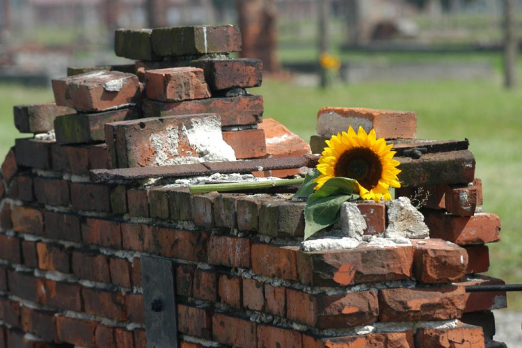 Uroczystości Dnia Pamięci o Zagładzie Romów w obozie cygańskim na terenie b. niemieckiego obozu zagłady w Auschwitz II-Birkenau. 02.08.2005. Fot. PAP/J. Bednarczyk