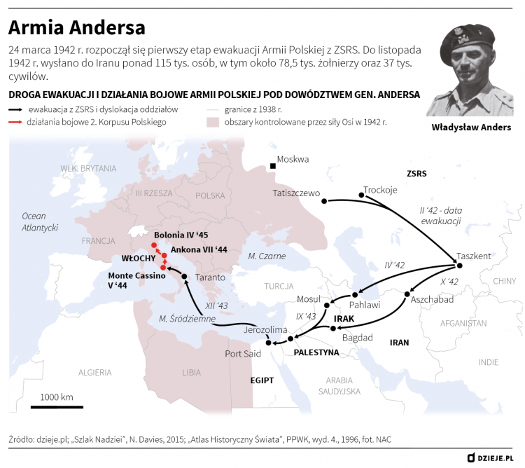 Infografika