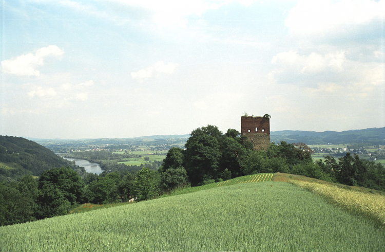 Ruiny zamku w Melsztynie na tle doliny Dunajca. Źródło: Wikimedia Commons