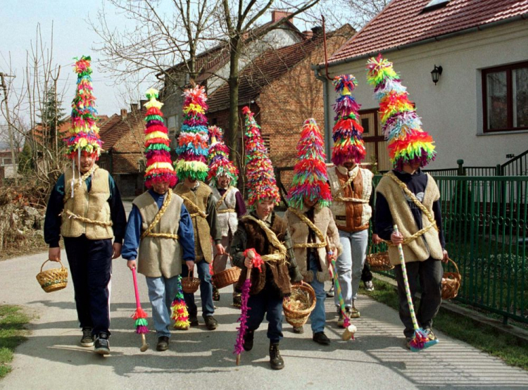 Pucheroki z Zielonek. Fot. PAP/J. Bednarczyk