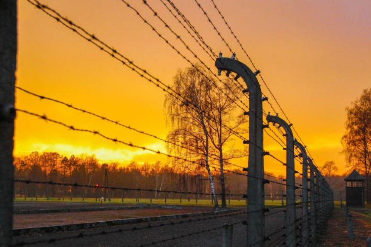 Teren b. niemieckiego obozu Auschwitz-Birkenau. Fot. PAP/A. Grygiel