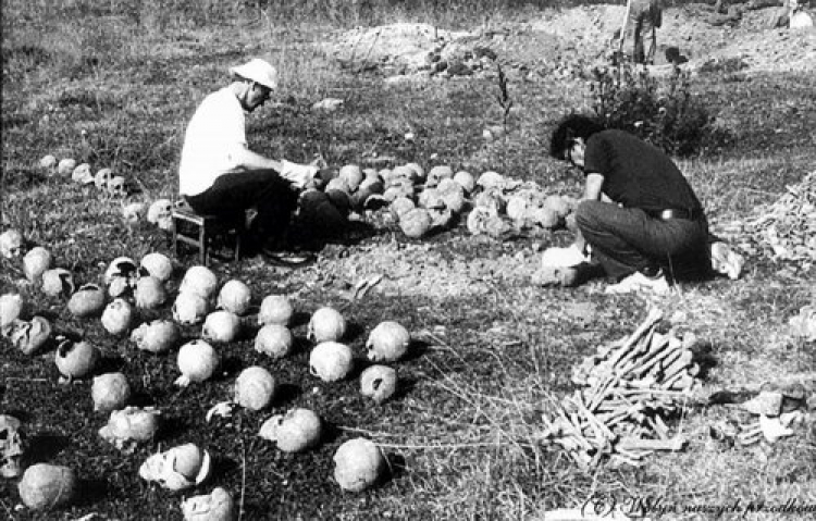 Ekshumacja ofiar z mogił zbiorowych w Woli Ostrowieckiej pow. lubomelski na Wołyniu, 1992 r. Fot. AIPN 