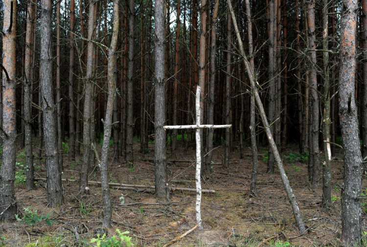 Brzozowy krzyż na skraju lasu przy tzw. trupim polu w rejonie wsi Ostrówki na Ukrainie. Poszukiwania szczątków około 300 Polaków, którzy w 1943 roku zginęli z rąk UPA. 2011 r. Fot. PAP/D. Delmanowicz