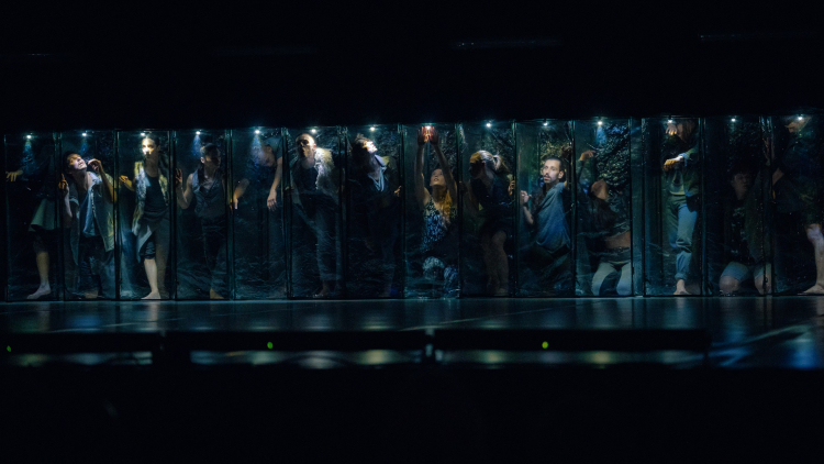 Scena ze spektaklu „Romeos & Julias unplagued. Traumstadt” Polski Teatr Tańca w Poznaniu – Bodytalk w Münster. Źródło: Festiwalszekspirowski.pl