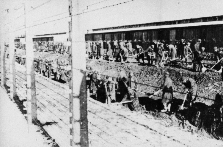 Niemiecki obóz koncentracyjny Auschwitz-Birkenau: więźniowie przy przymusowej pracy. Fot. PAP/Reprodukcja