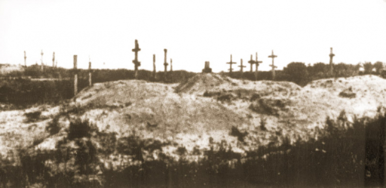 Cmentarz w Charkowie z masowymi mogiłami ofiar Wielkiego Głodu na Ukrainie. Źródło: IPN