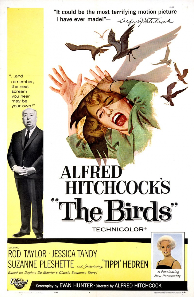 Plakat filmu "Ptaki". Źródło: Wikimedia Commons