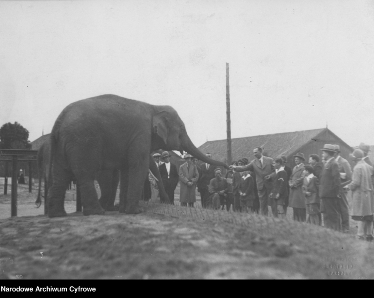 Ogród Zoologiczny w Warszawie. 1930 r. Fot. NAC