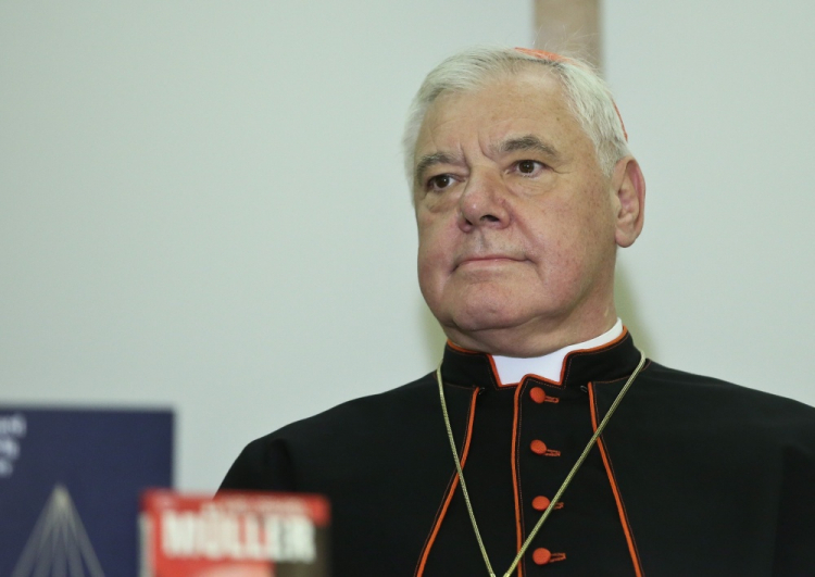 Kard. Gerhard Müller. Fot. PAP/R. Guz