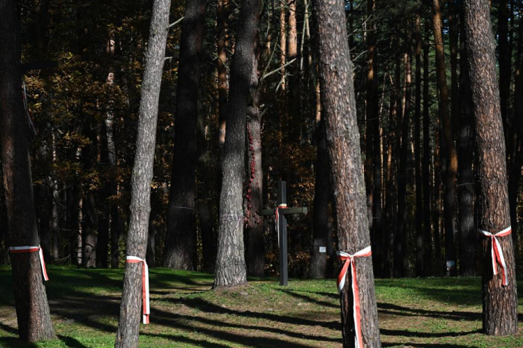 Polski Cmentarz Wojenny w Kijowie-Bykowni. Fot. PAP/V. Ratynskyi