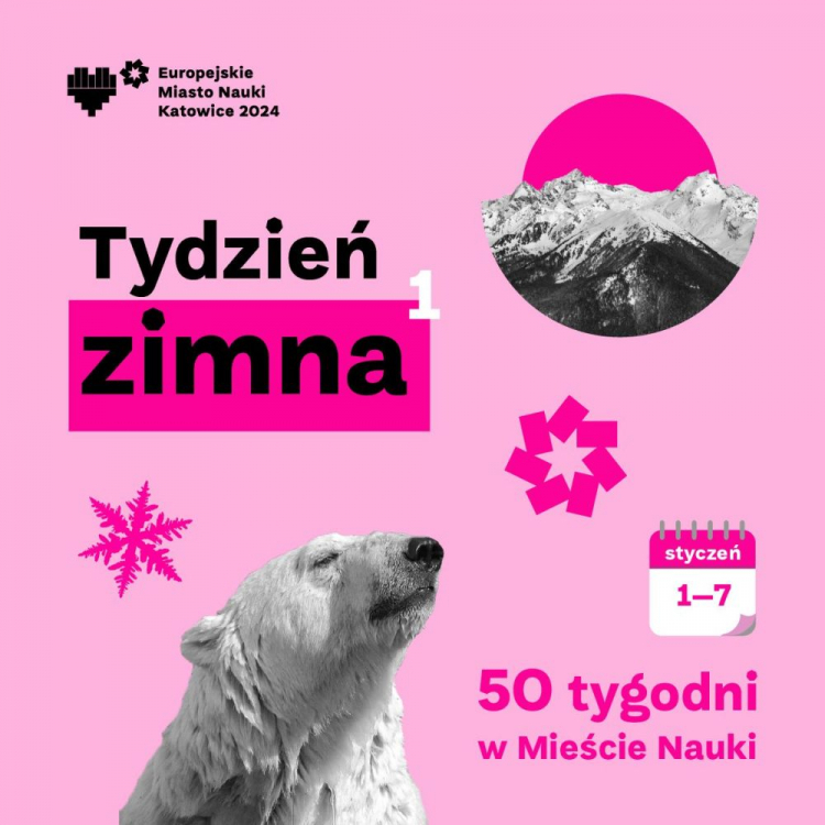 Europejskie Miasto Nauki Katowice 2024: tydzień zimna