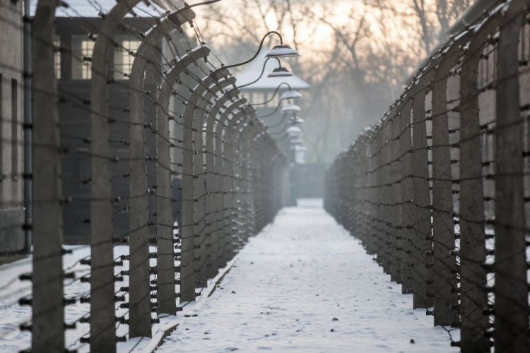 Teren byłego niemieckiego, nazistowskiego obozu Auschwitz. Fot. PAP/Ł. Gągulski