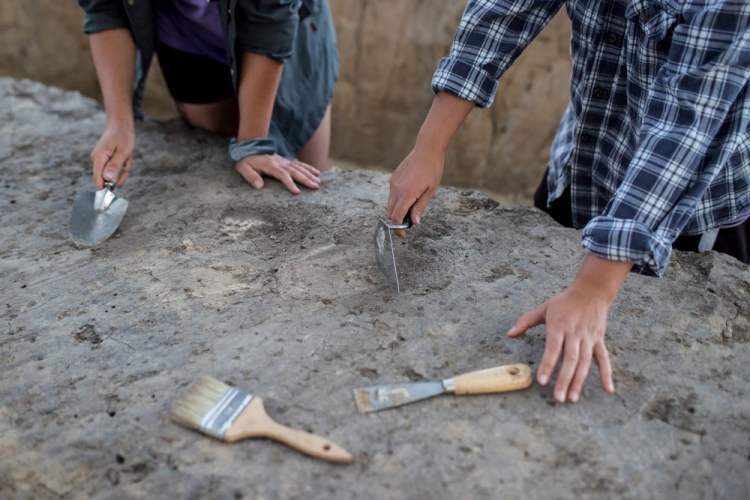 Prace archeologiczne. Fot. PAP/Ł. Gągulski